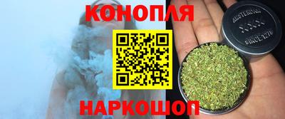 СК Гагарин