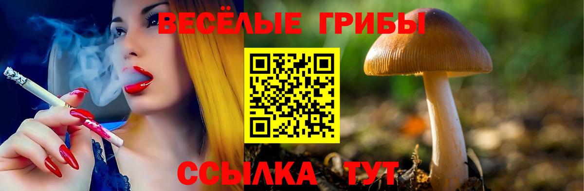 Губаха  Псилоцибиновые грибы Magic Shrooms  Вход с VPN 