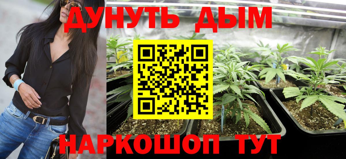 Каннабис марихуана  Вход с VPN  Губаха  Бошки Шишки сатива 